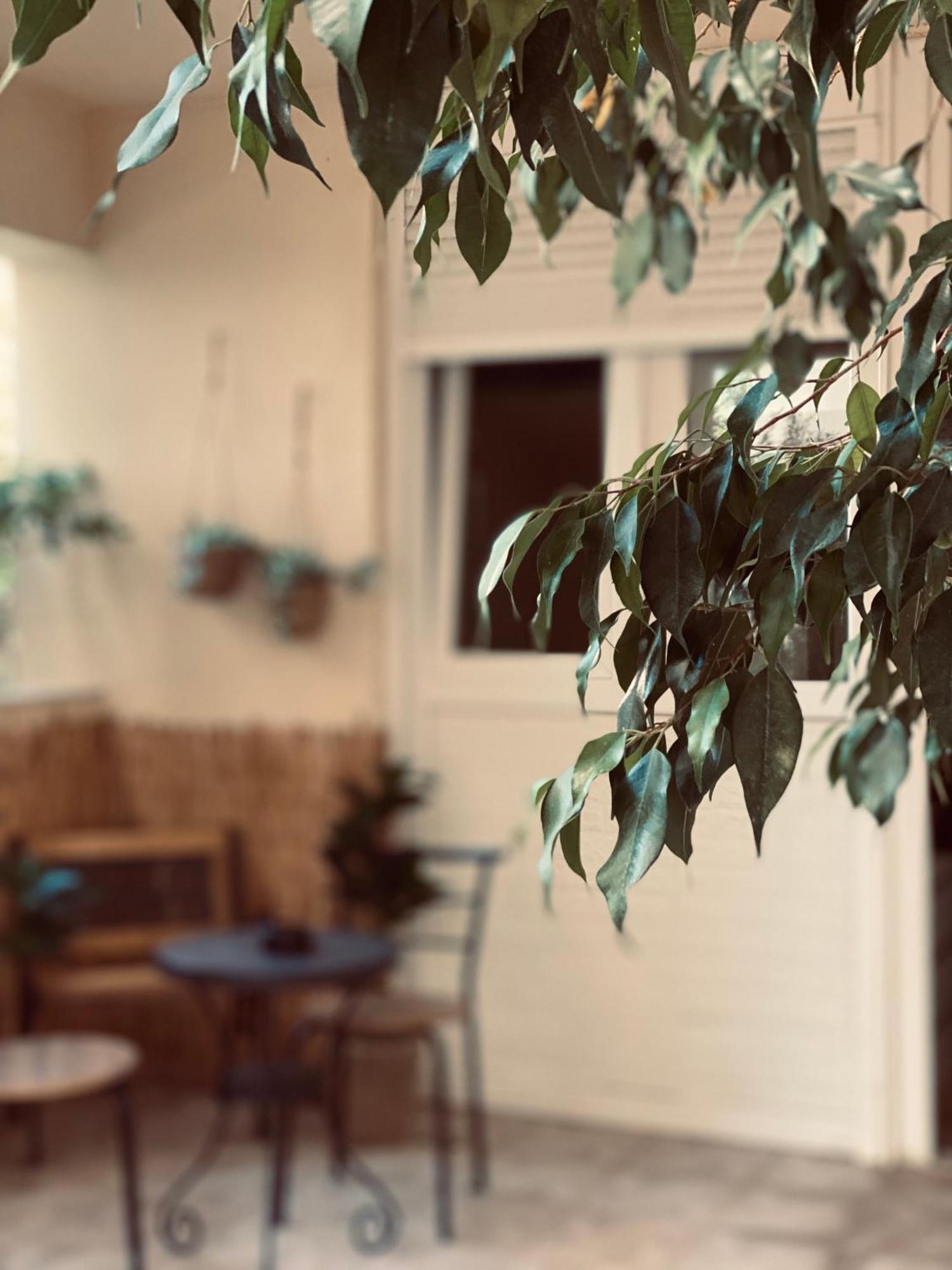 Apartment Independent House At Glyfada Athens